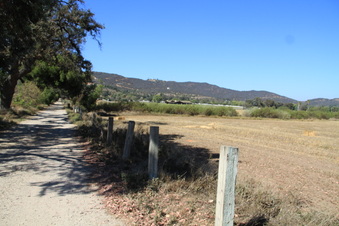Enlarge photo 118