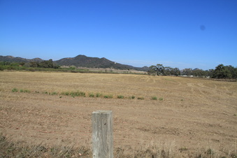 Enlarge photo 119