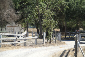 Enlarge photo 120