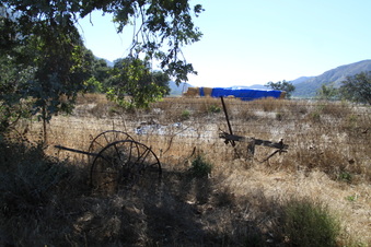 Enlarge photo 121