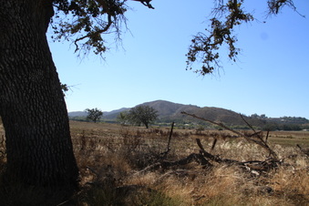 Enlarge photo 122