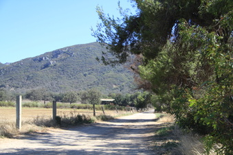 Enlarge photo 124