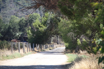 Enlarge photo 125