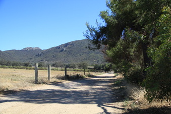 Enlarge photo 126