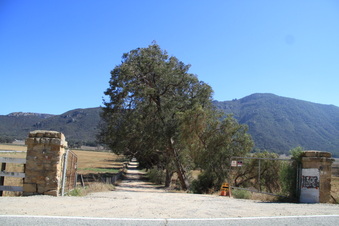 Enlarge photo 128