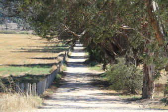 Enlarge photo 129