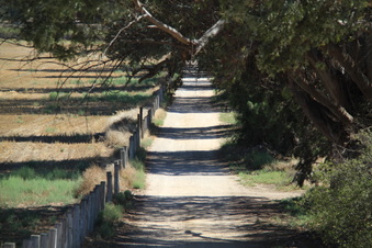 Enlarge photo 130
