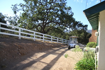 Enlarge photo 17