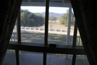 Enlarge photo 43