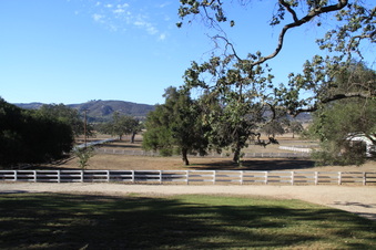 Enlarge photo 48