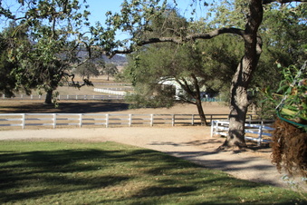 Enlarge photo 49