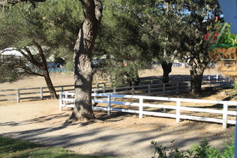 Enlarge photo 50