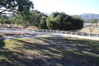 Enlarge photo 56