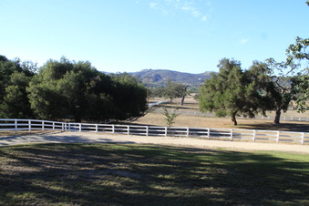 Enlarge photo 57