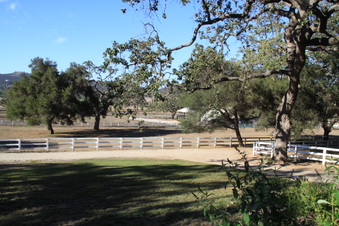 Enlarge photo 58