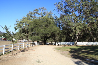 Enlarge photo 61