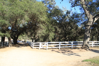 Enlarge photo 66