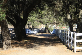 Enlarge photo 67