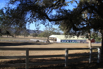 Enlarge photo 72