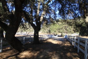 Enlarge photo 73