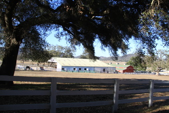 Enlarge photo 80