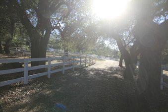 Enlarge photo 81