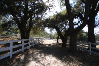 Enlarge photo 82
