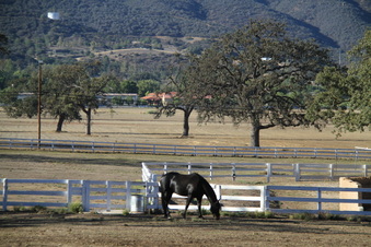 Enlarge photo 83