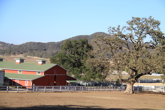 Enlarge photo 84