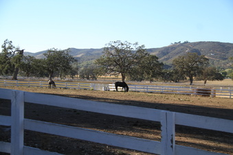 Enlarge photo 86