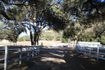 Enlarge photo 88