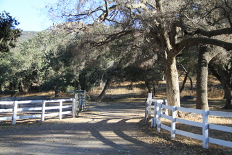Enlarge photo 89