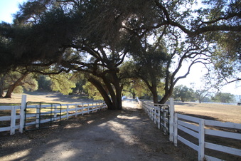 Enlarge photo 90