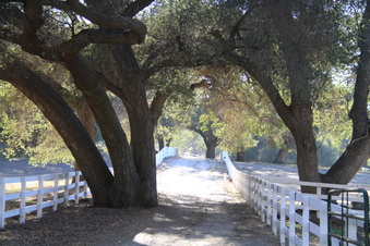 Enlarge photo 91