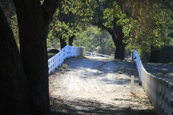 Enlarge photo 92