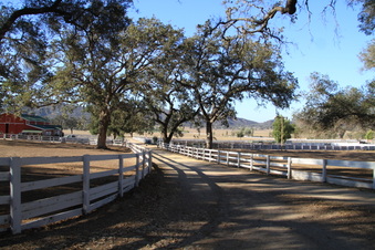 Enlarge photo 93
