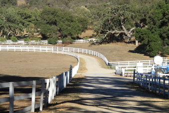 Enlarge photo 94