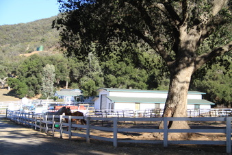 Enlarge photo 95