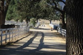 Enlarge photo 97