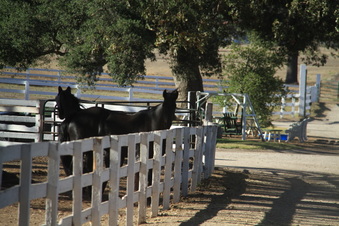 Enlarge photo 99