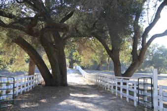 Enlarge photo 103