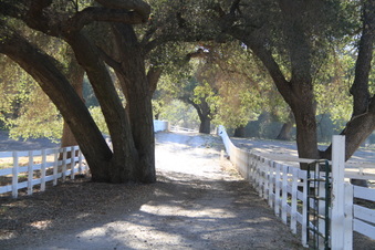 Enlarge photo 104