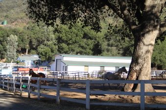 Enlarge photo 105