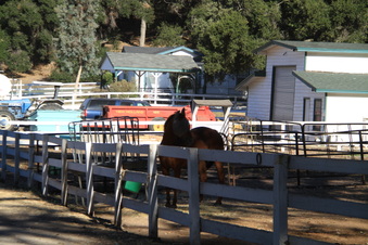 Enlarge photo 106