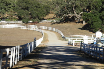 Enlarge photo 107