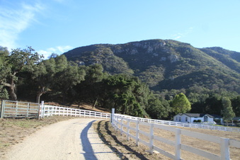 Enlarge photo 112