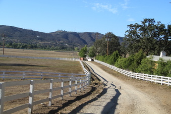 Enlarge photo 114
