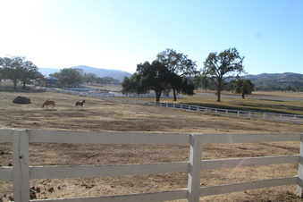 Enlarge photo 115