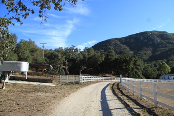 Enlarge photo 117