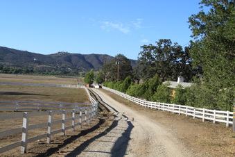 Enlarge photo 118
